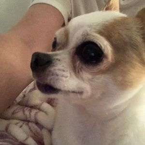 Meet your Posher, Barbara